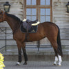 Kentucky Horsewear Mantilla Negro/Blanco/Marron
