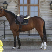 Kentucky Horsewear Mantilla Negro<>Blanco<>Marron