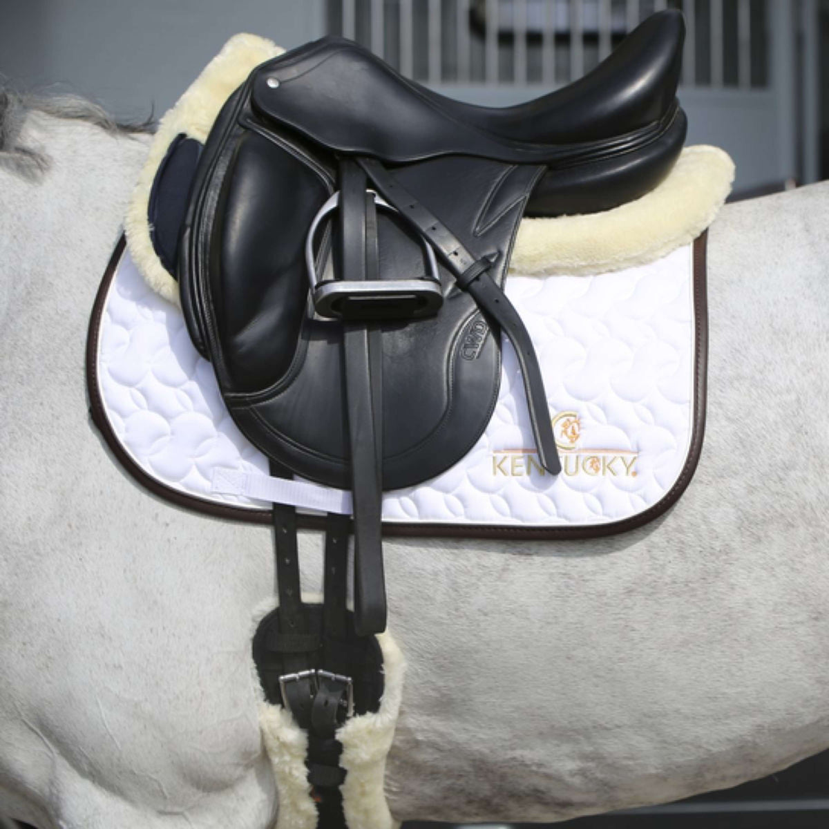 Kentucky Horsewear Mantilla White/Brown