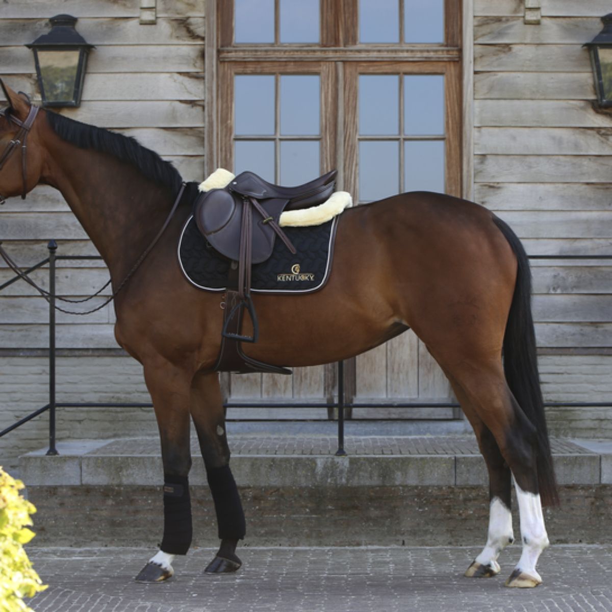 Kentucky Horsewear Mantilla Negro<>Blanco<>Marron