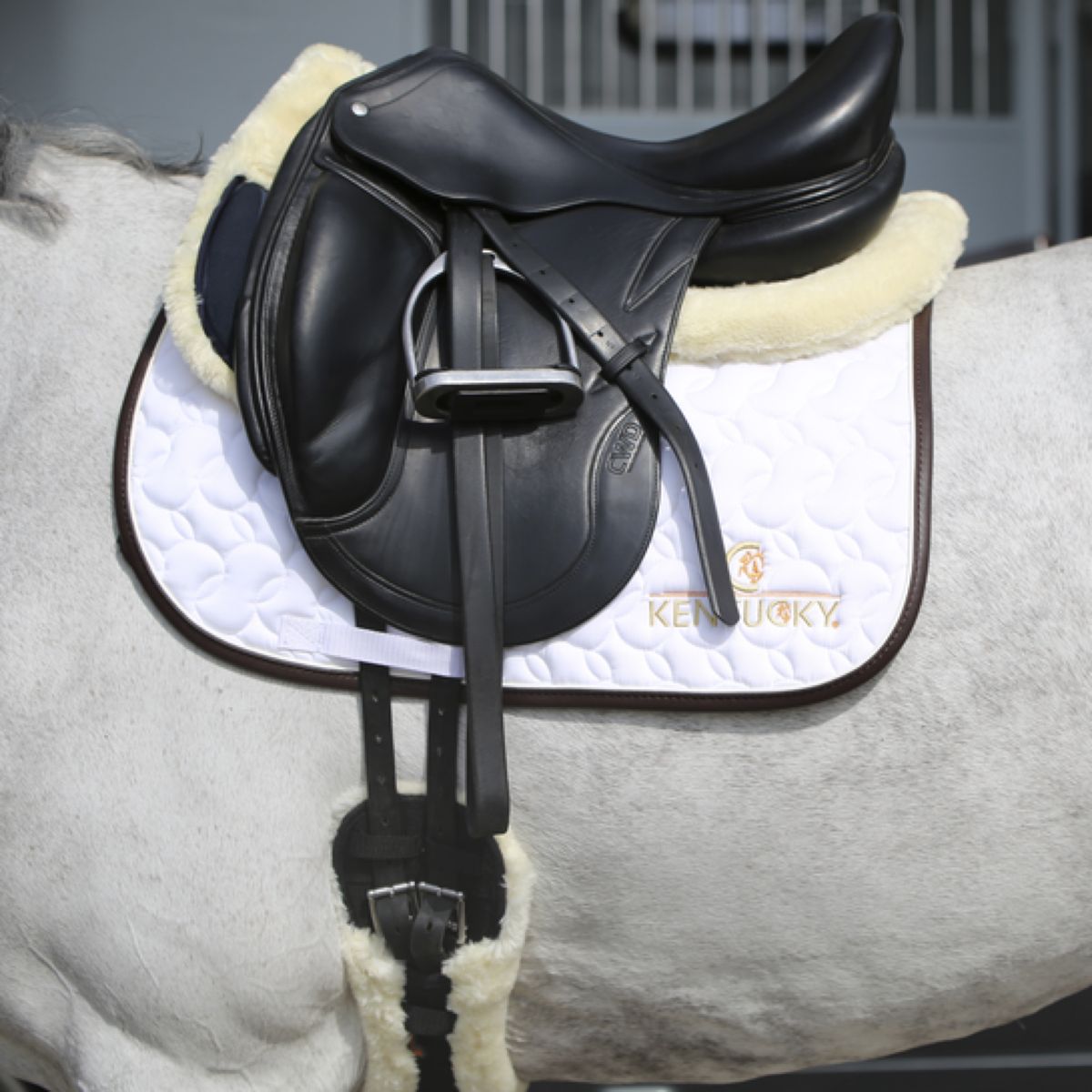 Kentucky Horsewear Mantilla White/Brown