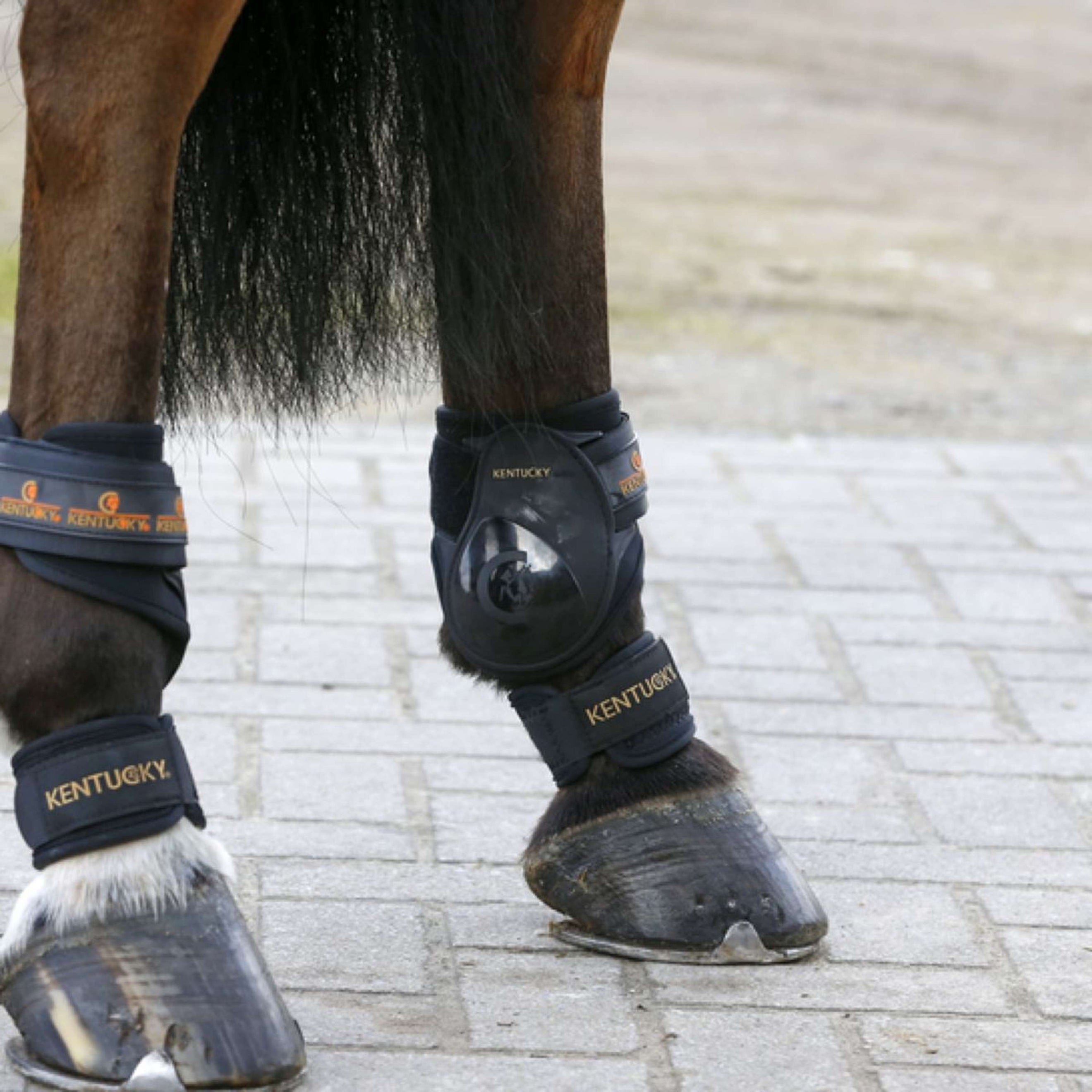 Kentucky Horsewear Protector de menudillo Pastern Kentucky Horsewear Protector de menudillo Pastern