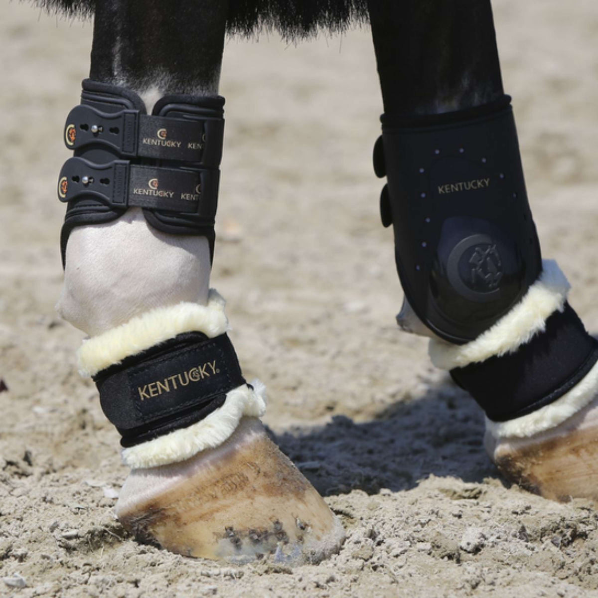 Kentucky Horsewear Protector de menudillo Pastern Sheepskin