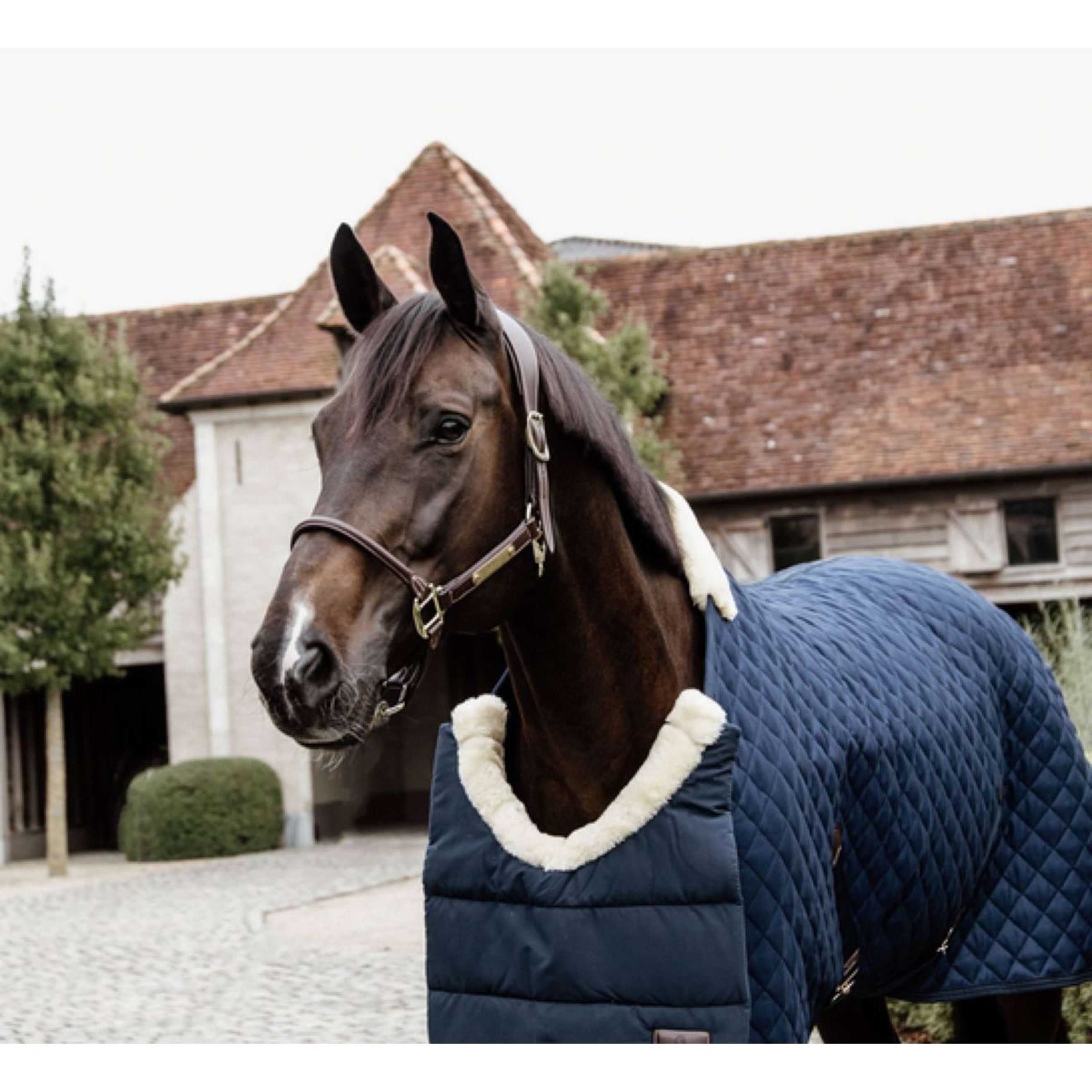 Kentucky Horsewear Bib Winter Navy