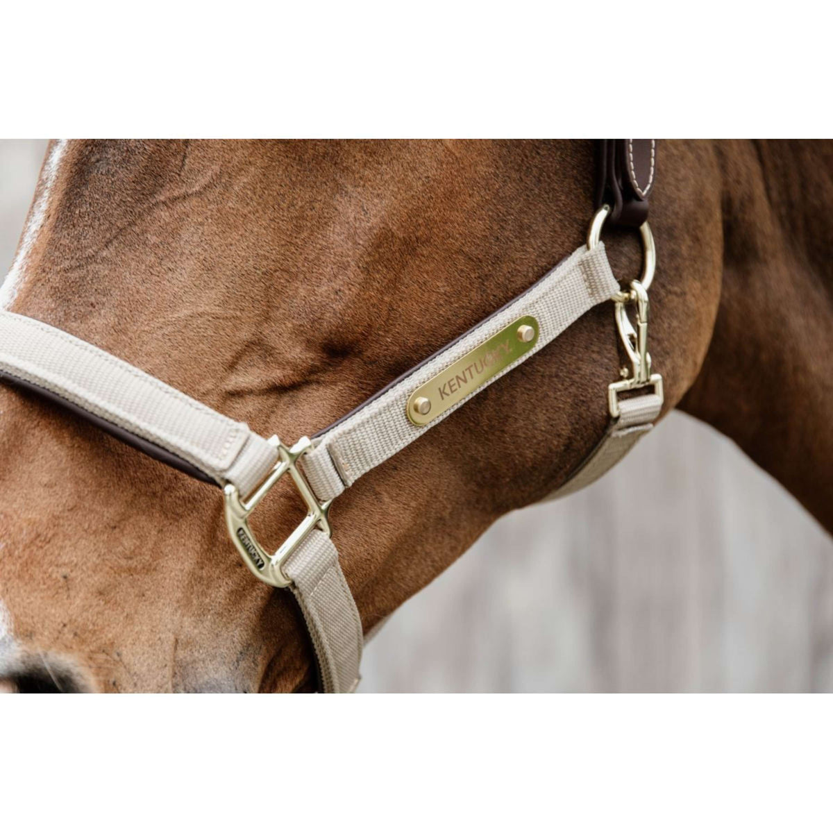 Kentucky Horsewear Cabezada Anatomic Nylon Beige