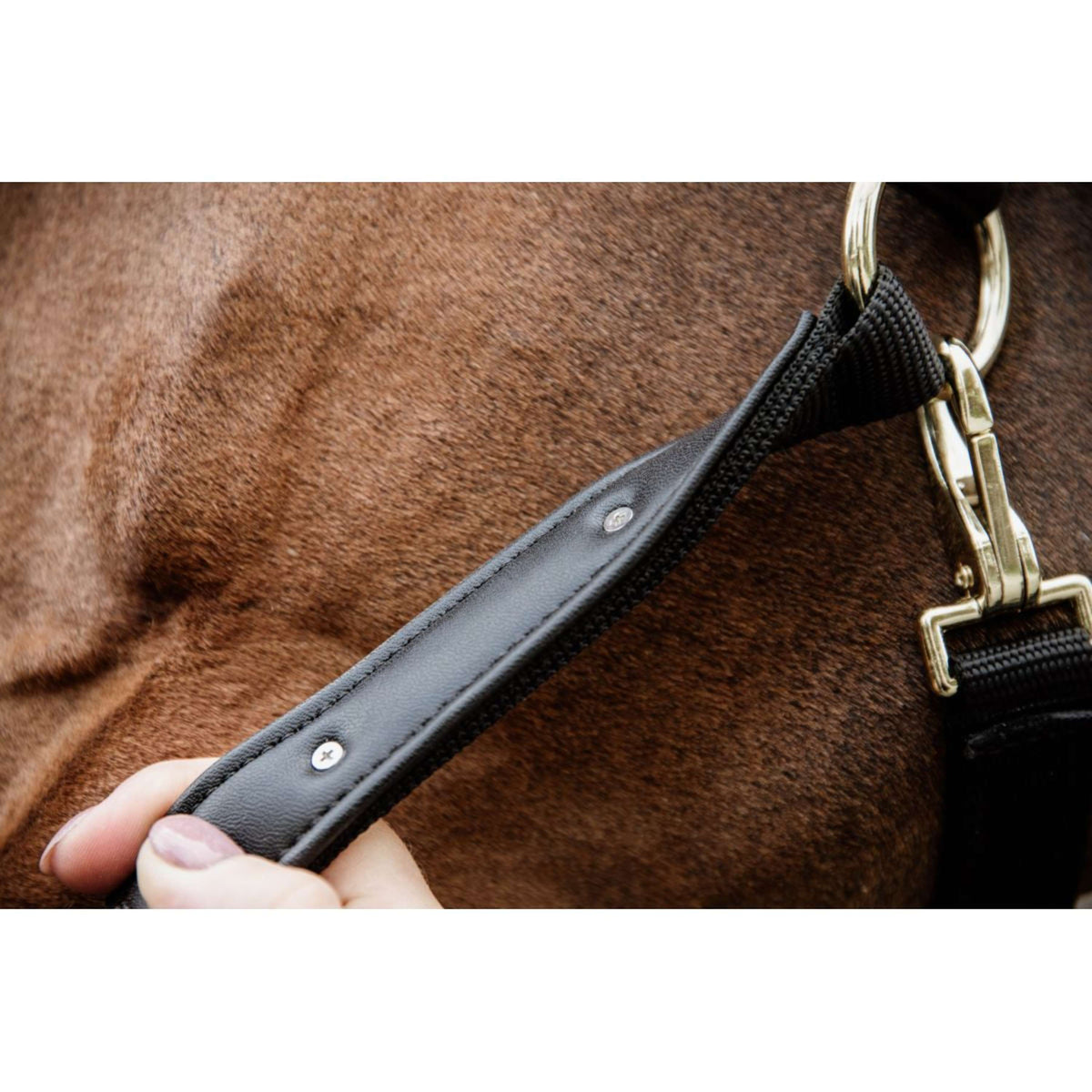 Kentucky Horsewear Cabezada Anatomic Nylon Beige