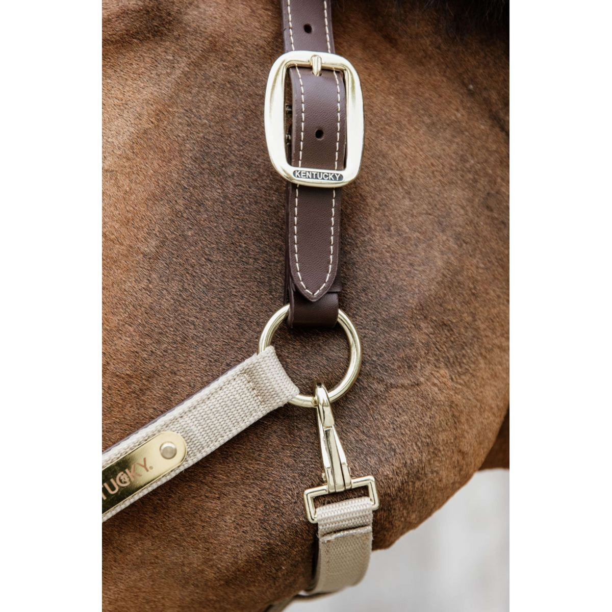 Kentucky Horsewear Cabezada Anatomic Nylon Beige