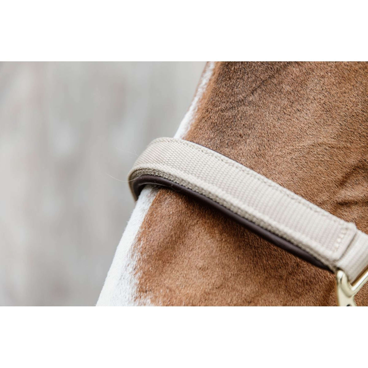 Kentucky Horsewear Cabezada Anatomic Nylon Beige