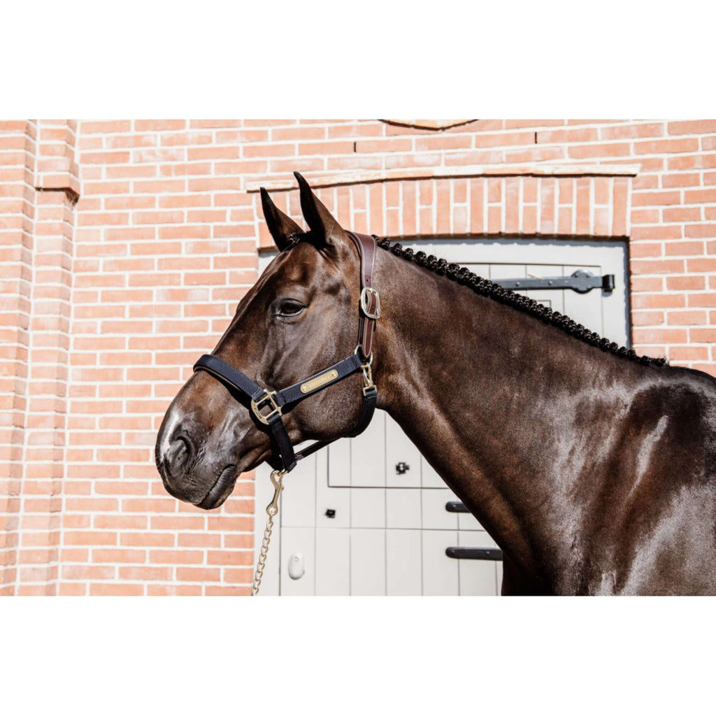 Kentucky Horsewear Cabestro Anatomic Nylon Navy