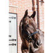 Kentucky Horsewear Cabezada Anatomic Nylon Navy