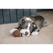 Kentucky Dogwear Juguete para Perro