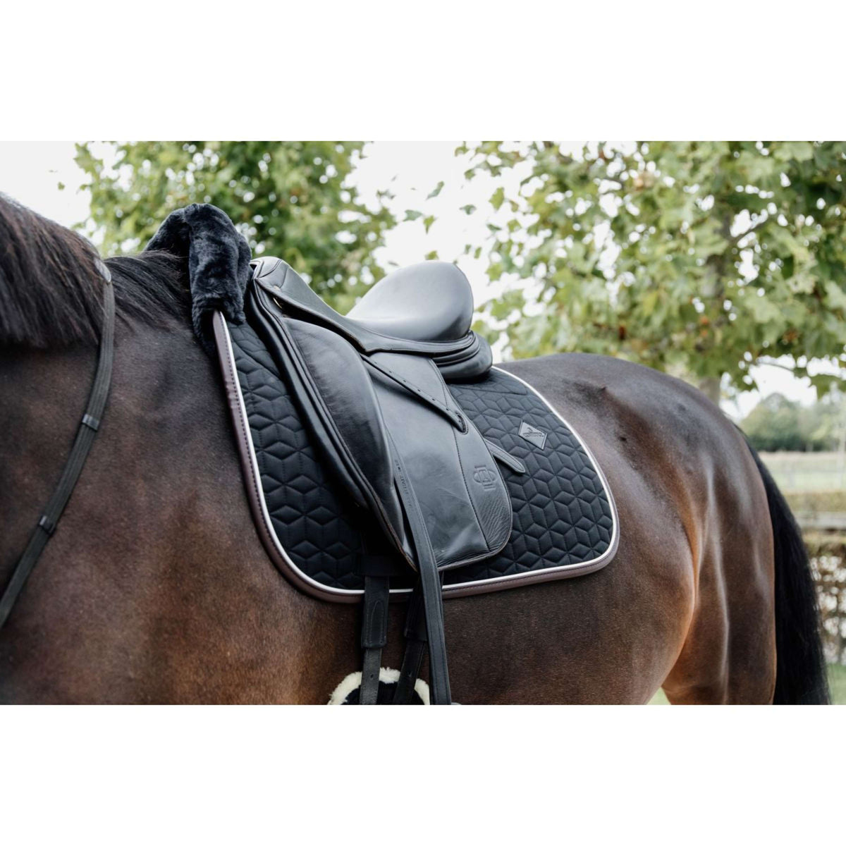 Kentucky Horsewear Mantilla Skin Friendly Doma Negro