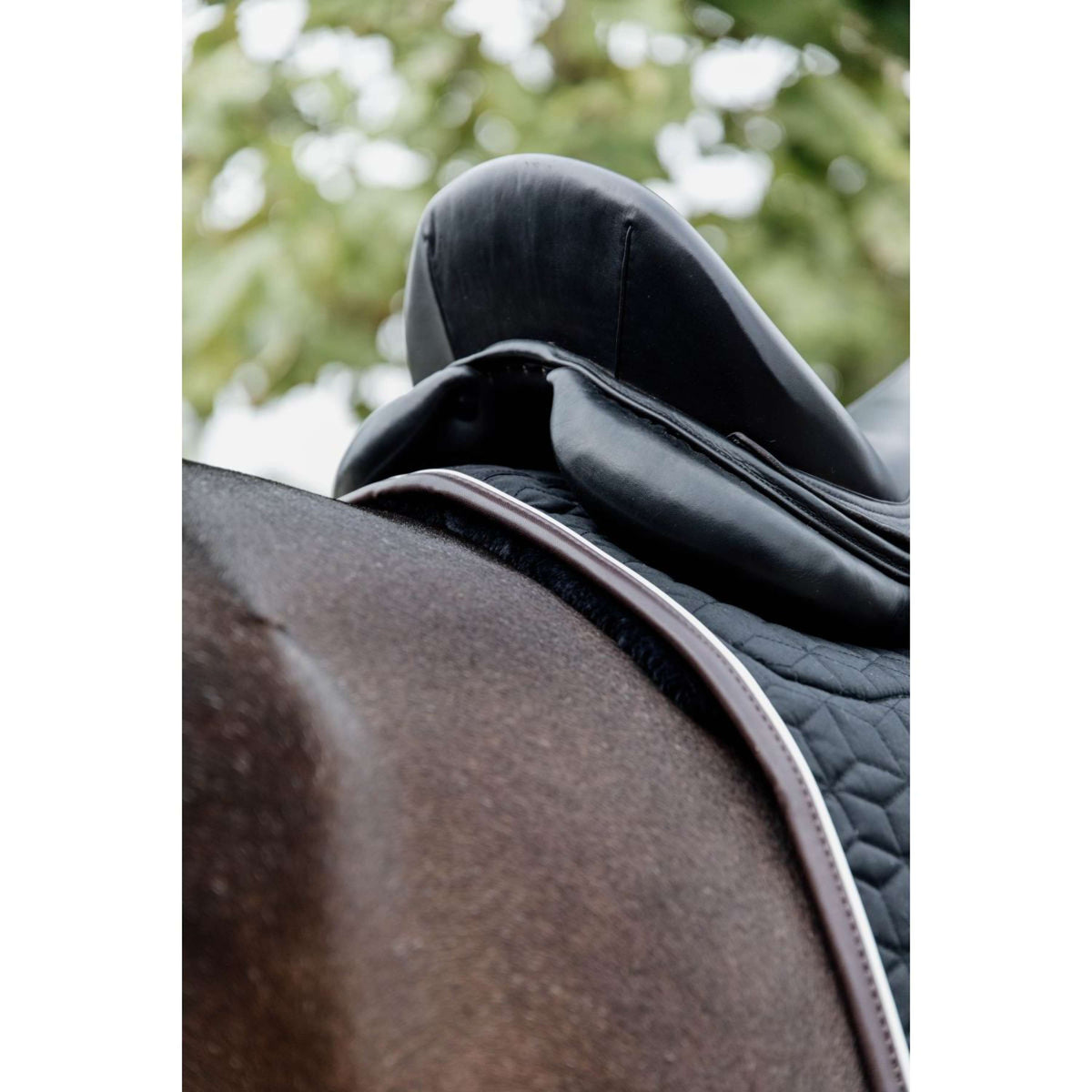 Kentucky Horsewear Mantilla Skin Friendly Doma Negro