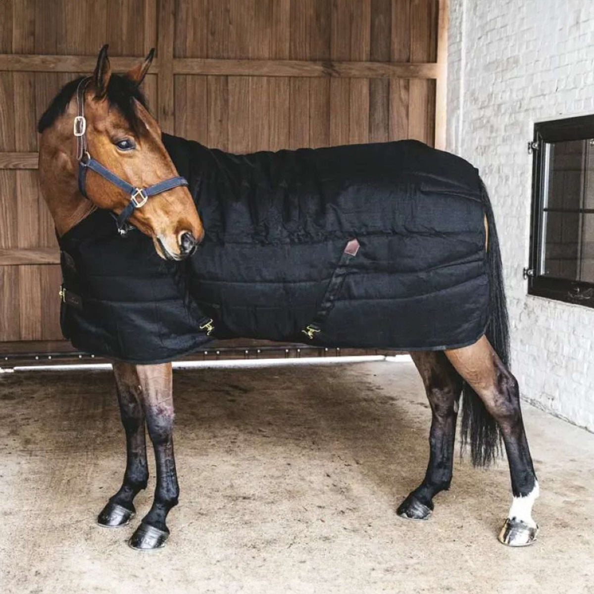 Kentucky Horsewear Manta de Establo Classic 200g Negro