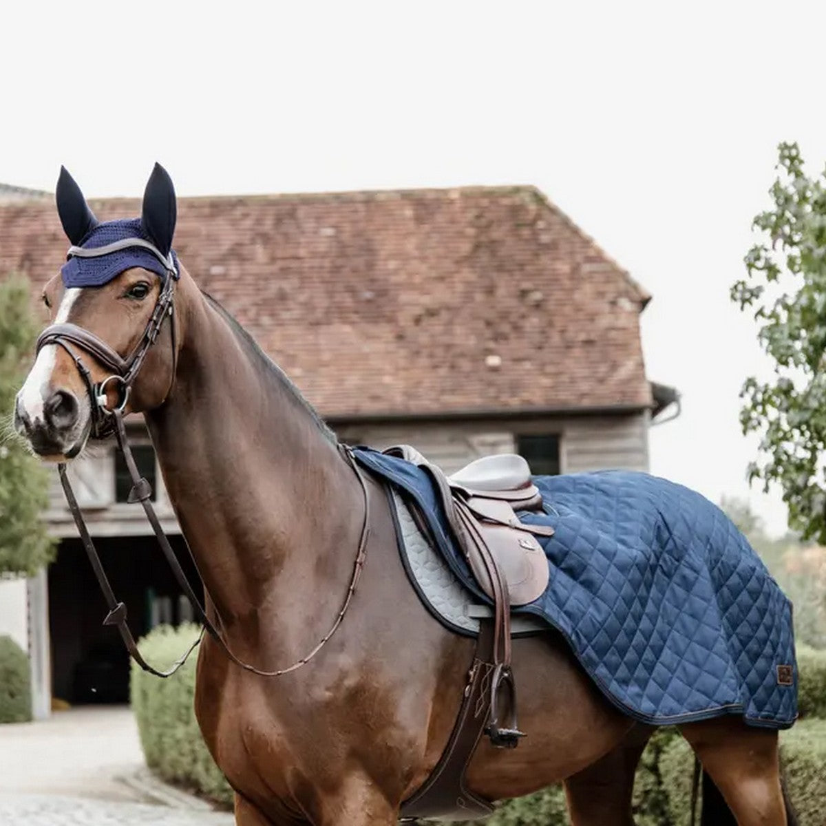 Kentucky Horsewear Manta de ejercicio 160g Navy