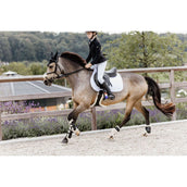 Kentucky Horsewear Botas para tendones Bamboo Elastic Español (ES): piel de oveja vegana Negro