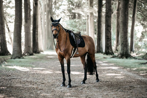 Kentucky Glitter Black