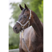 Covalliero Cabezada Classy Piedra