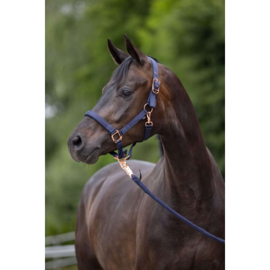 Covalliero Cabestro Classy Navy