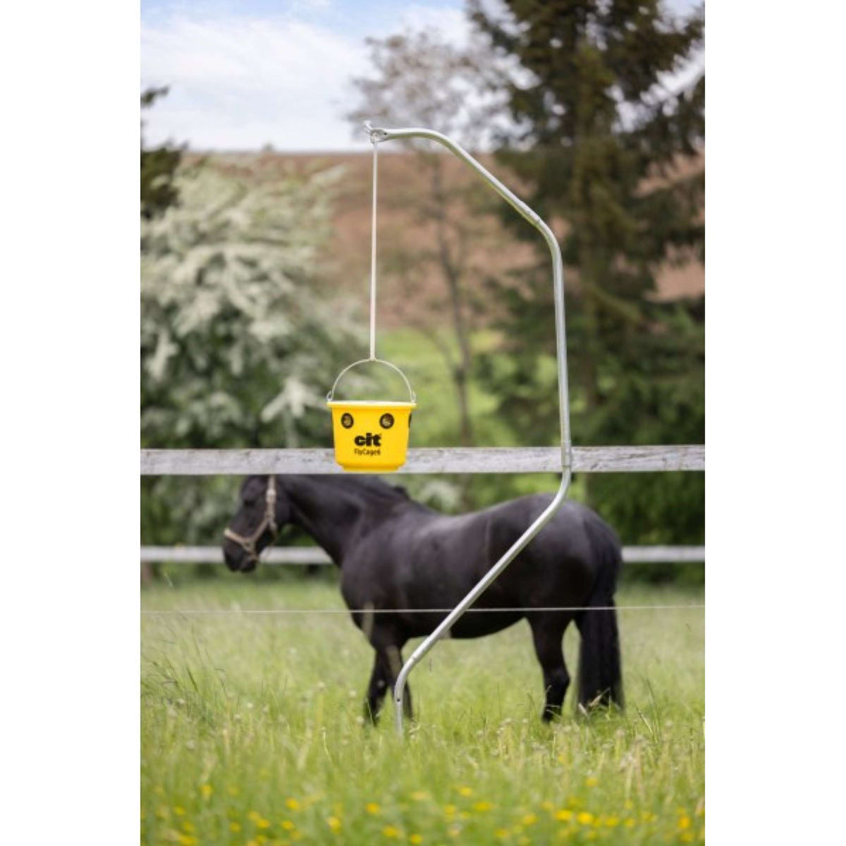 Kerbl Trampa para Moscas Cit FlyCage6 Set Amarillo