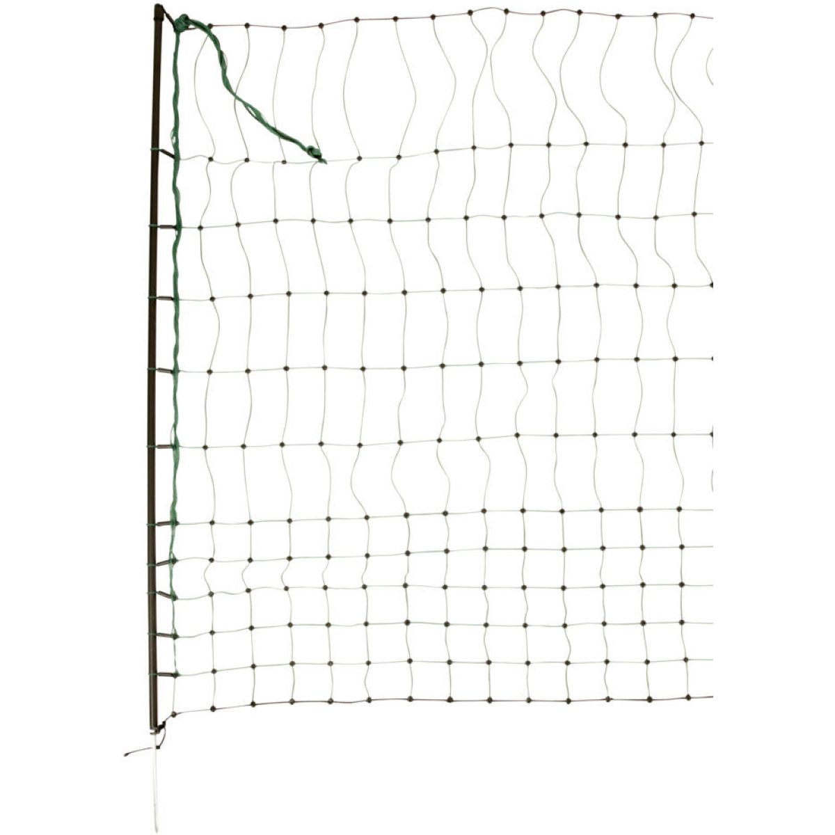 Ako Red Avícola Bolígrafo único Verde