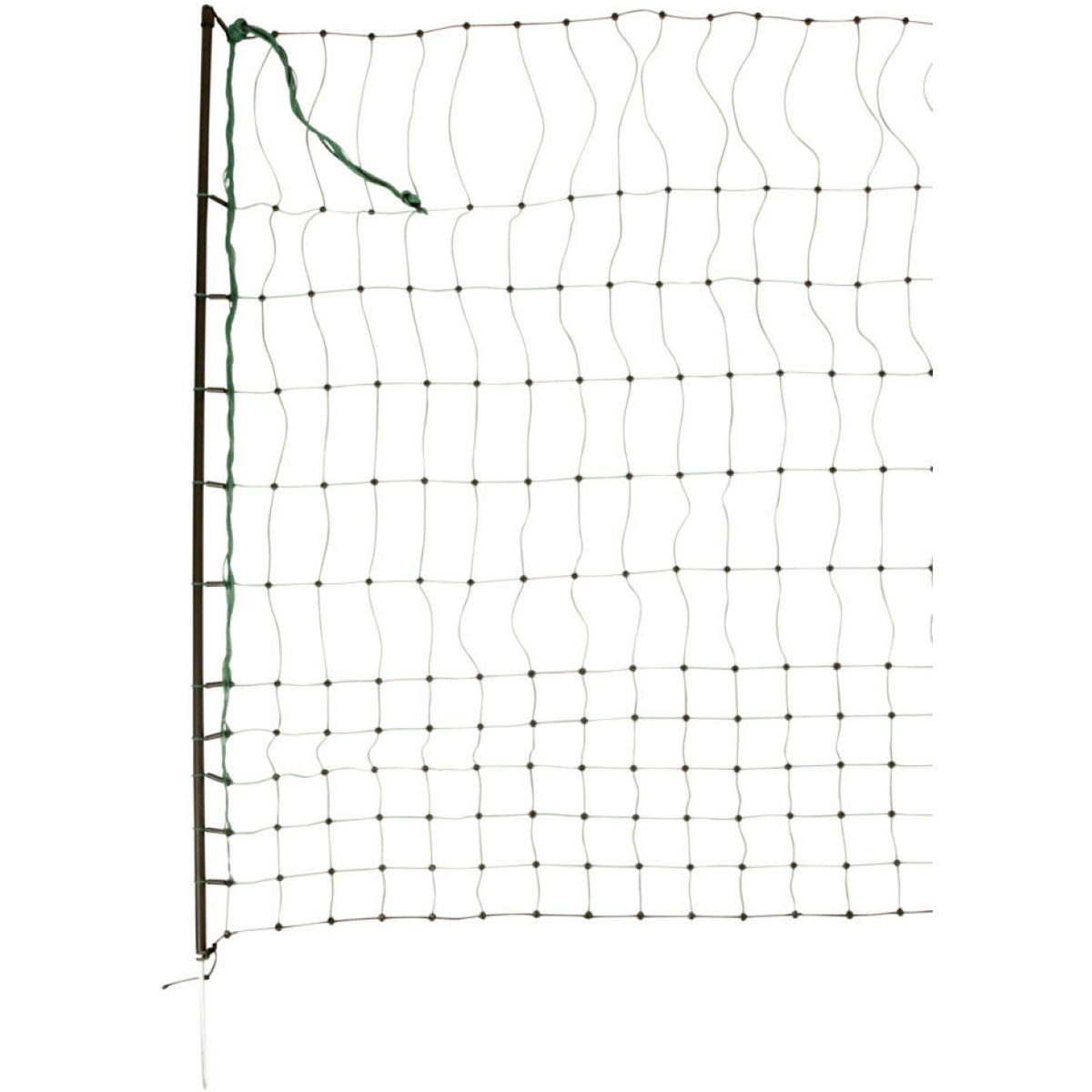 Ako Red Avícola Bolígrafo único Verde