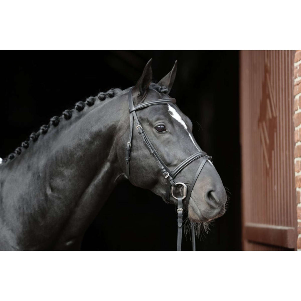 Kerbl Brida Eurohorse Negro
