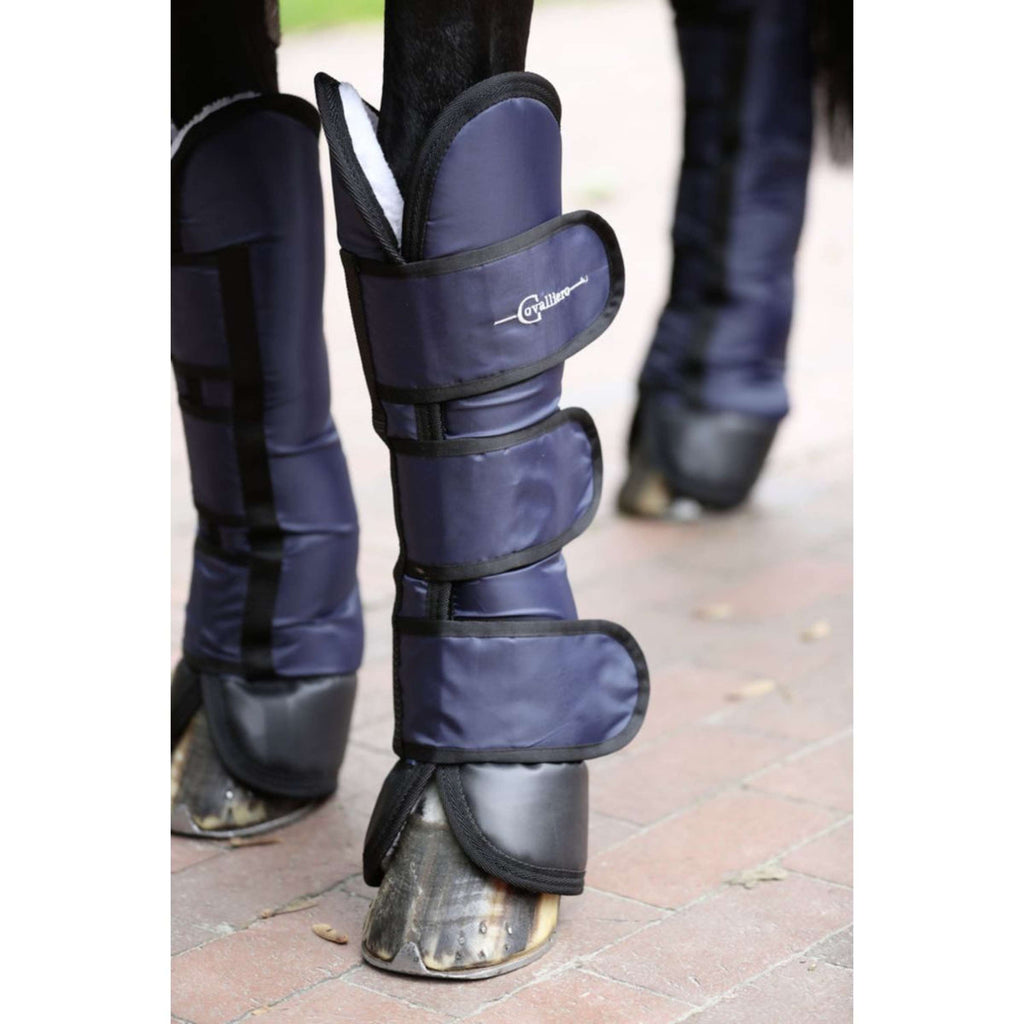 Kerbl Protectores de Transporte Dexter Azul