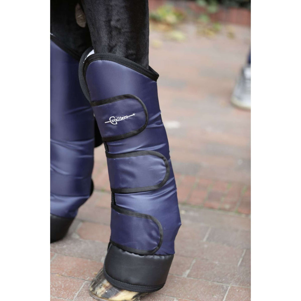 Kerbl Protectores de Transporte Dexter Azul