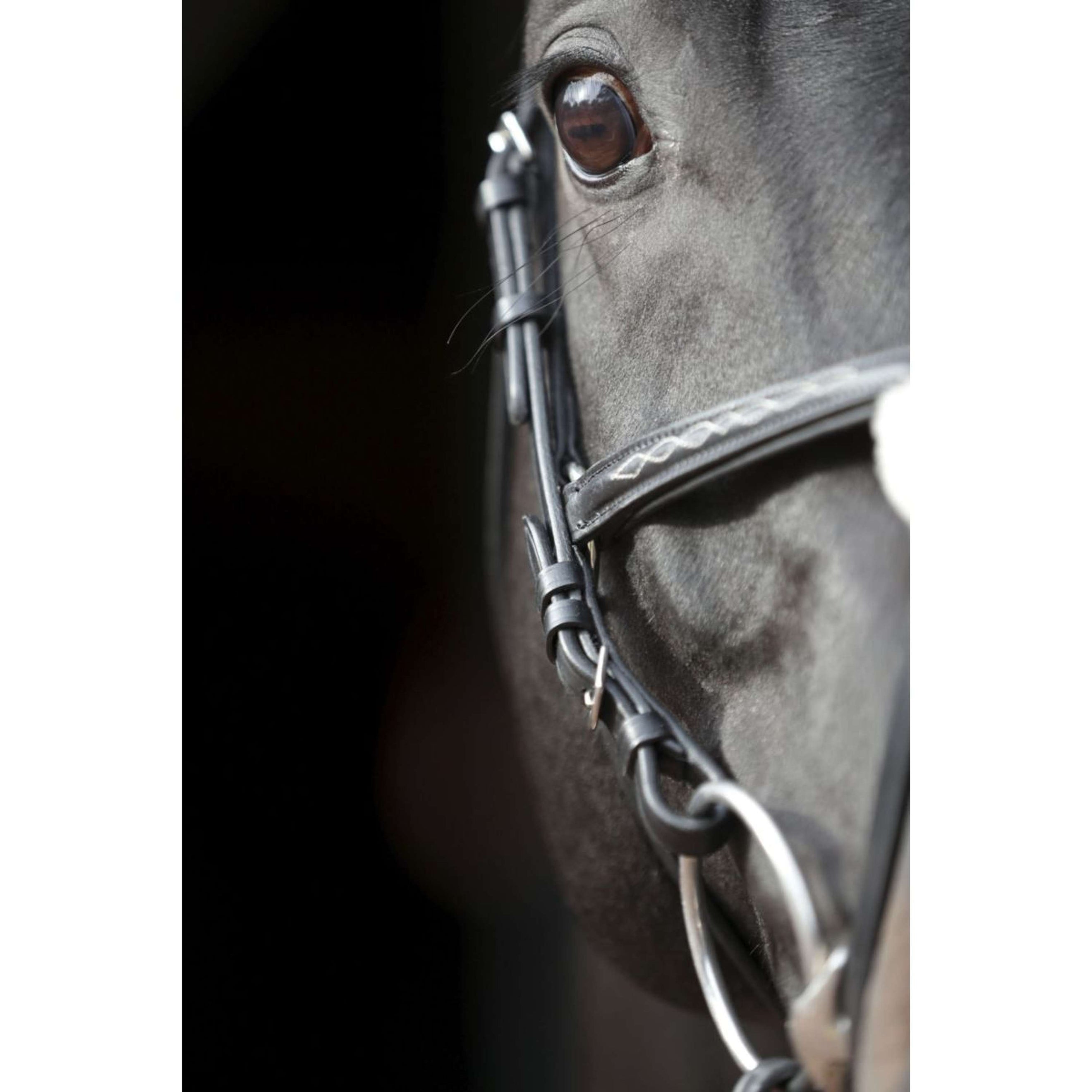 Kerbl Brida Cancun Negro