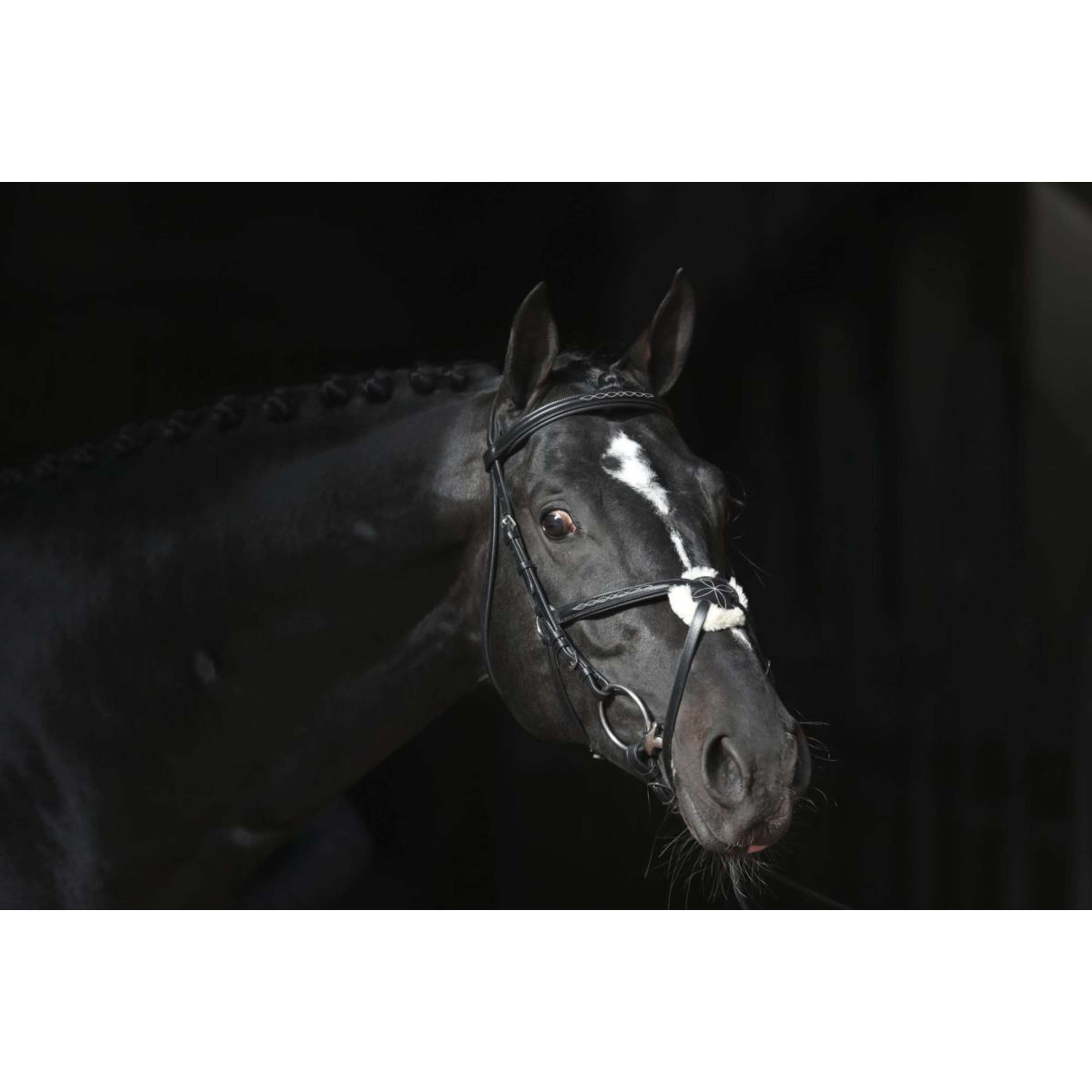 Kerbl Brida Cancun Negro Kerbl Brida Cancun Negro