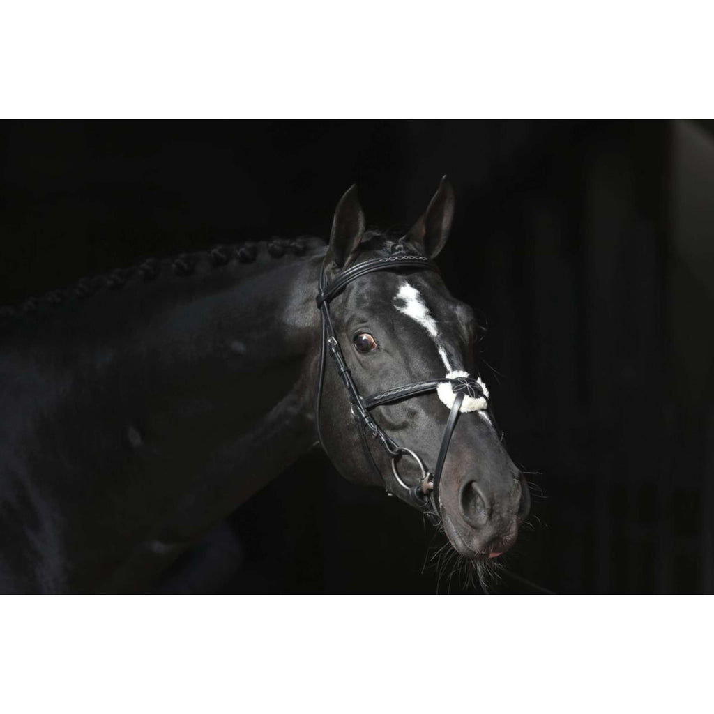 Kerbl Brida Cancun Negro