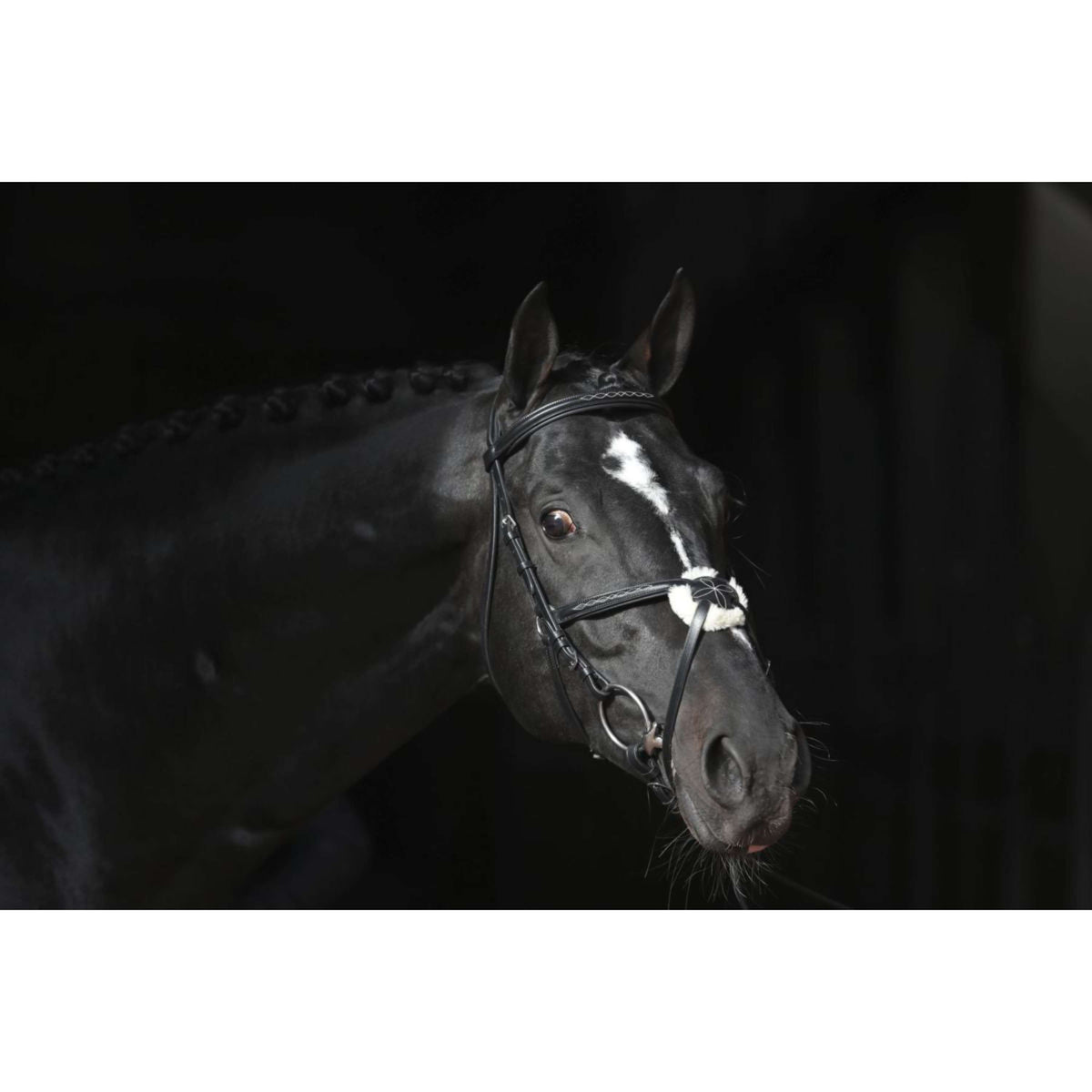 Kerbl Brida Cancun Negro