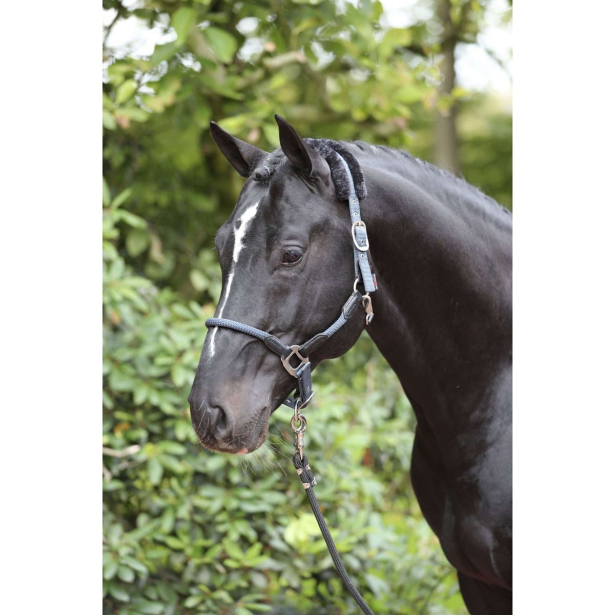 Kerbl Cabezada Cordano Azul