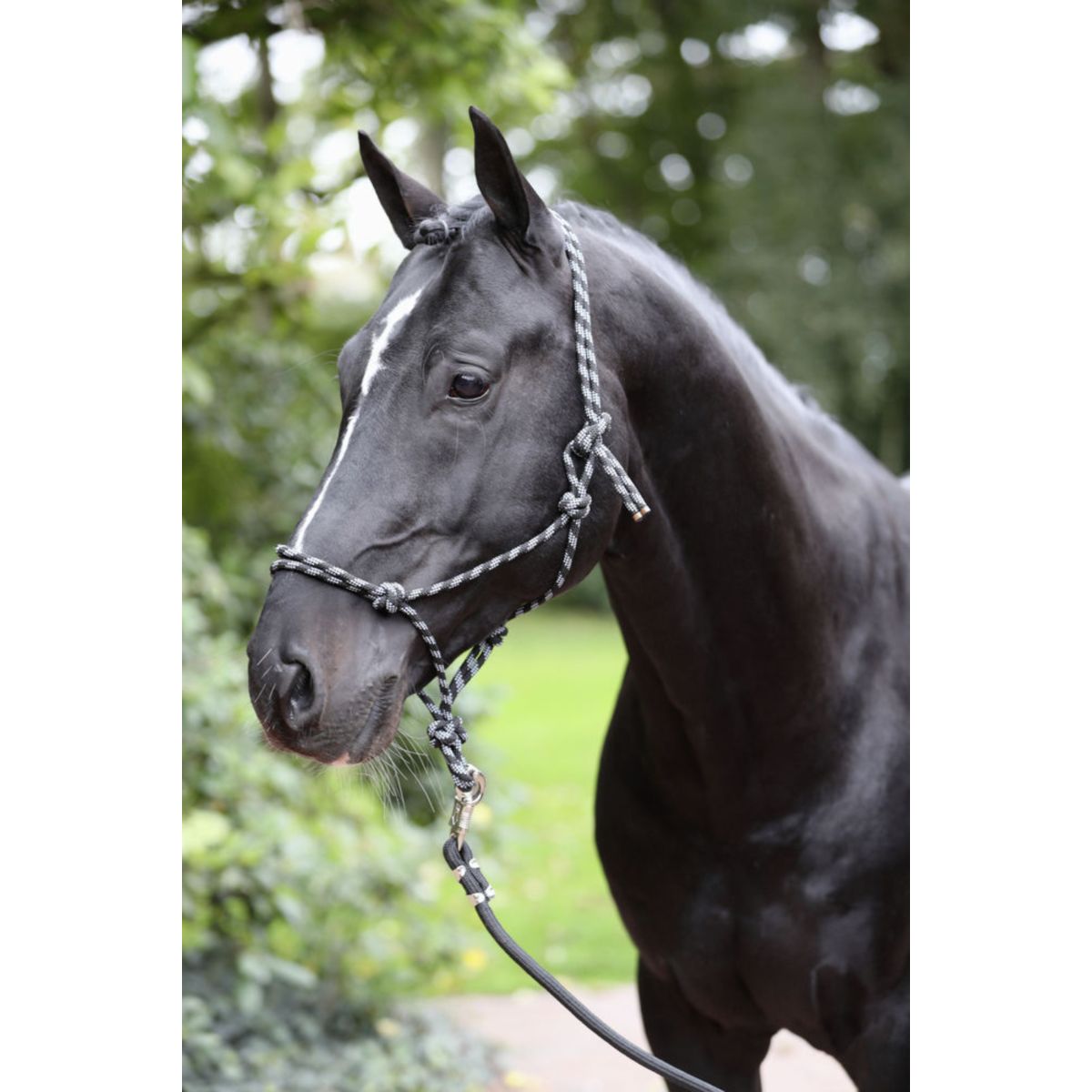 Kerbl Cabezada de Cuerda Negro Gris