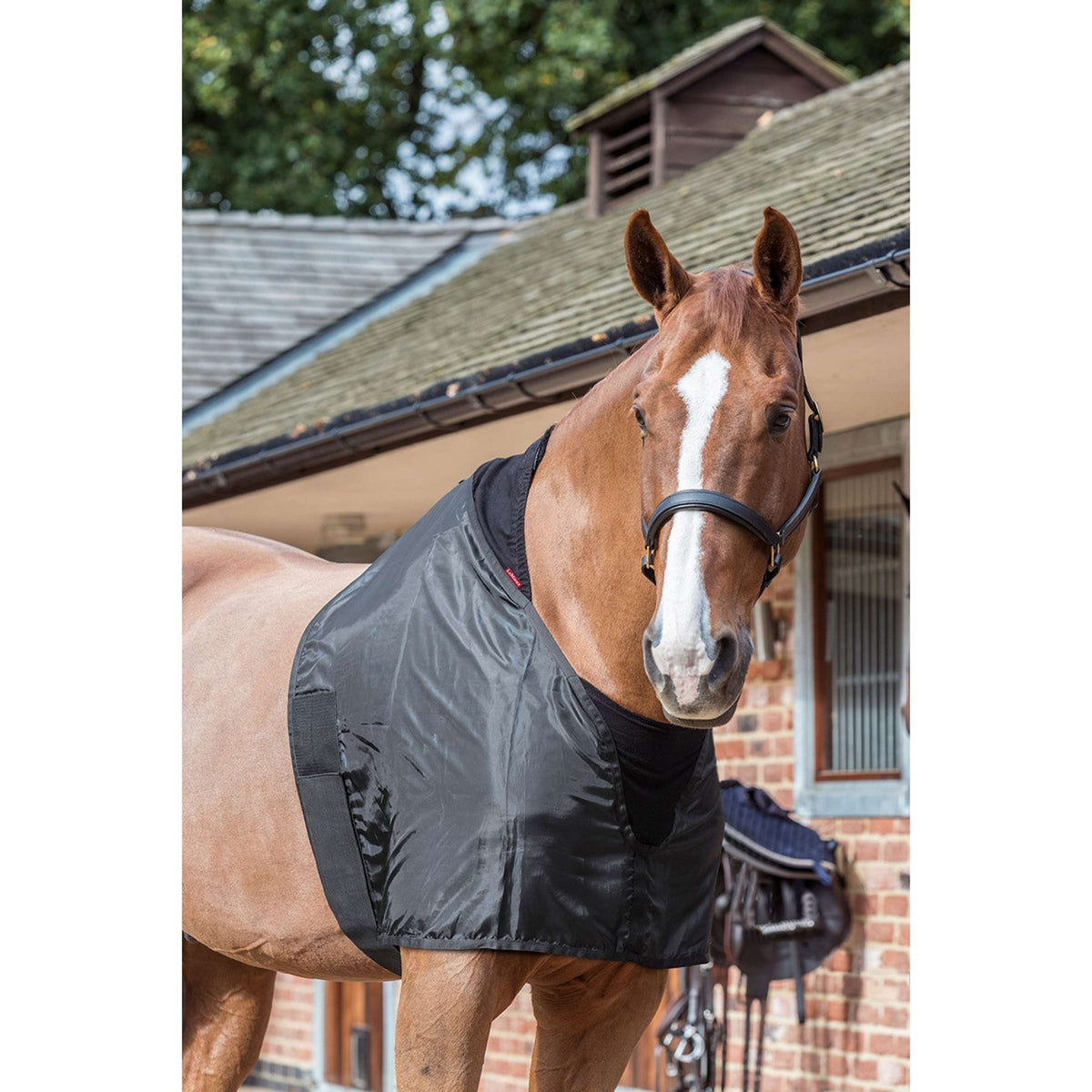 LeMieux Protector de Pecho Bib Negro