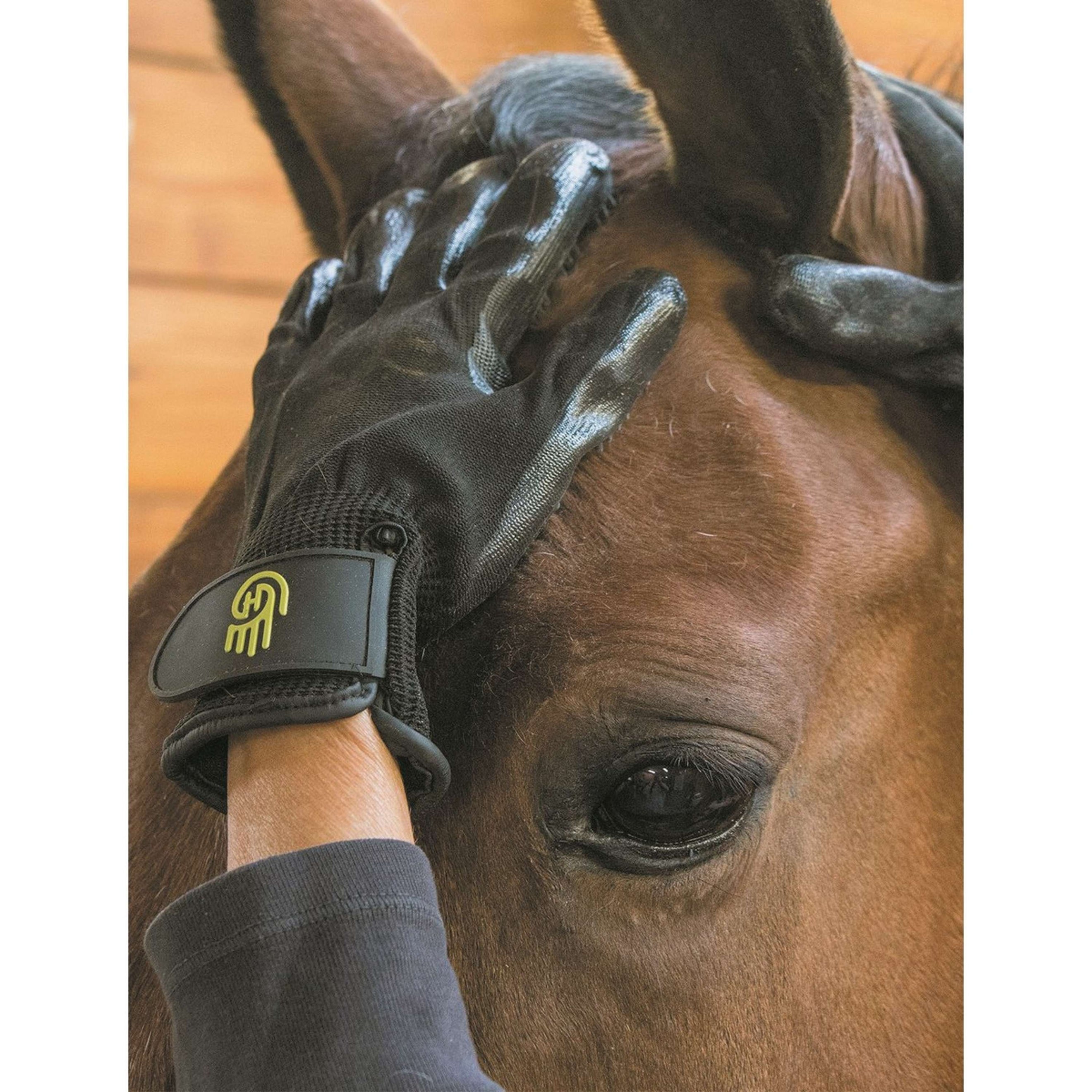 LeMieux Guantes de Equitación Negro/Negro