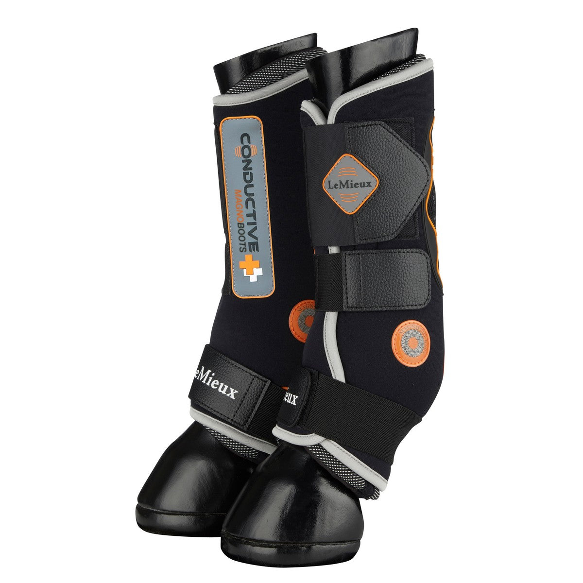 LeMieux Protectores de piernas Negro