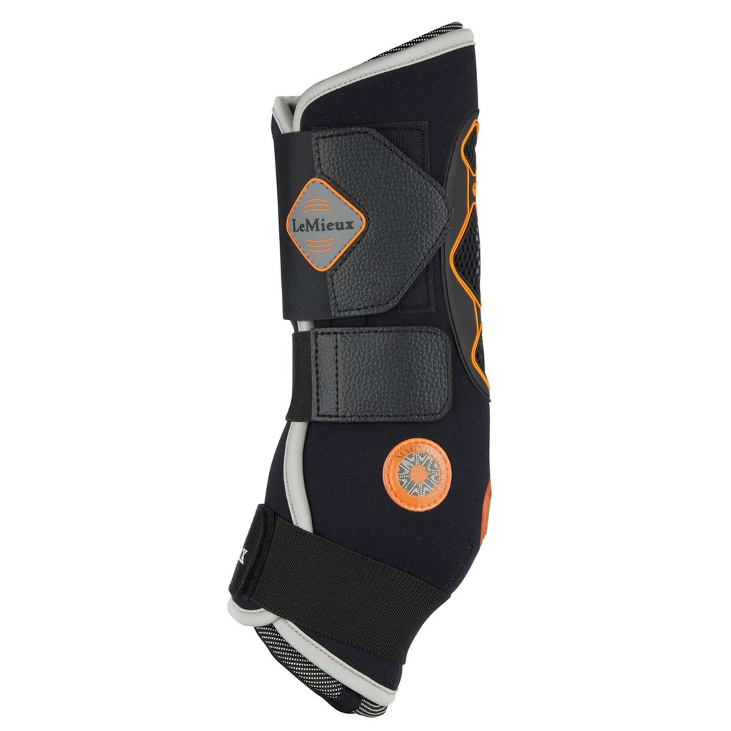 LeMieux Protectores de piernas Negro