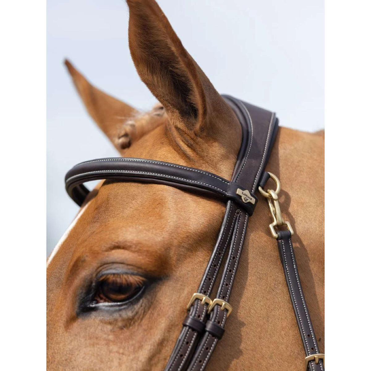 LeMieux Brida Work Marron