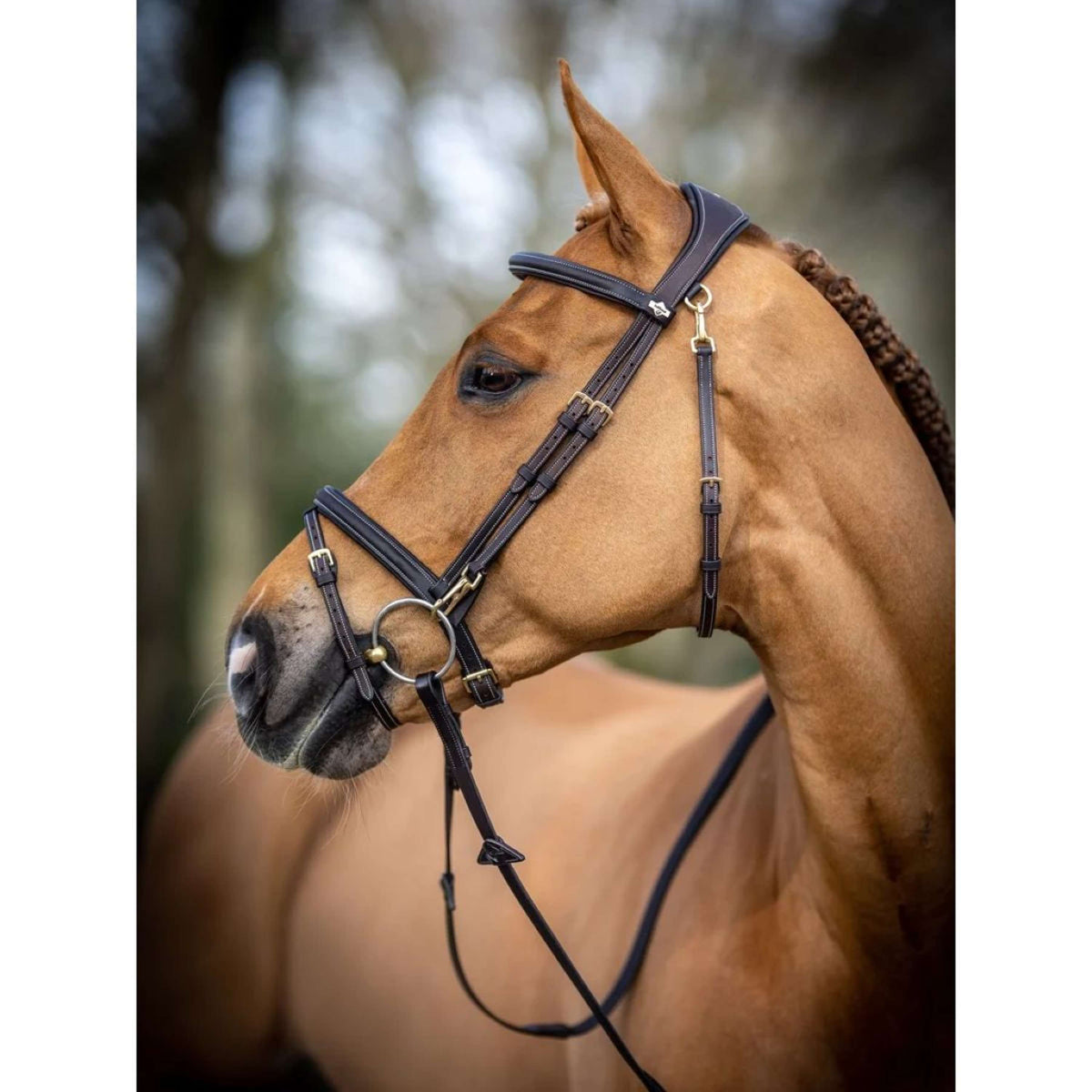 LeMieux Brida Work Marron