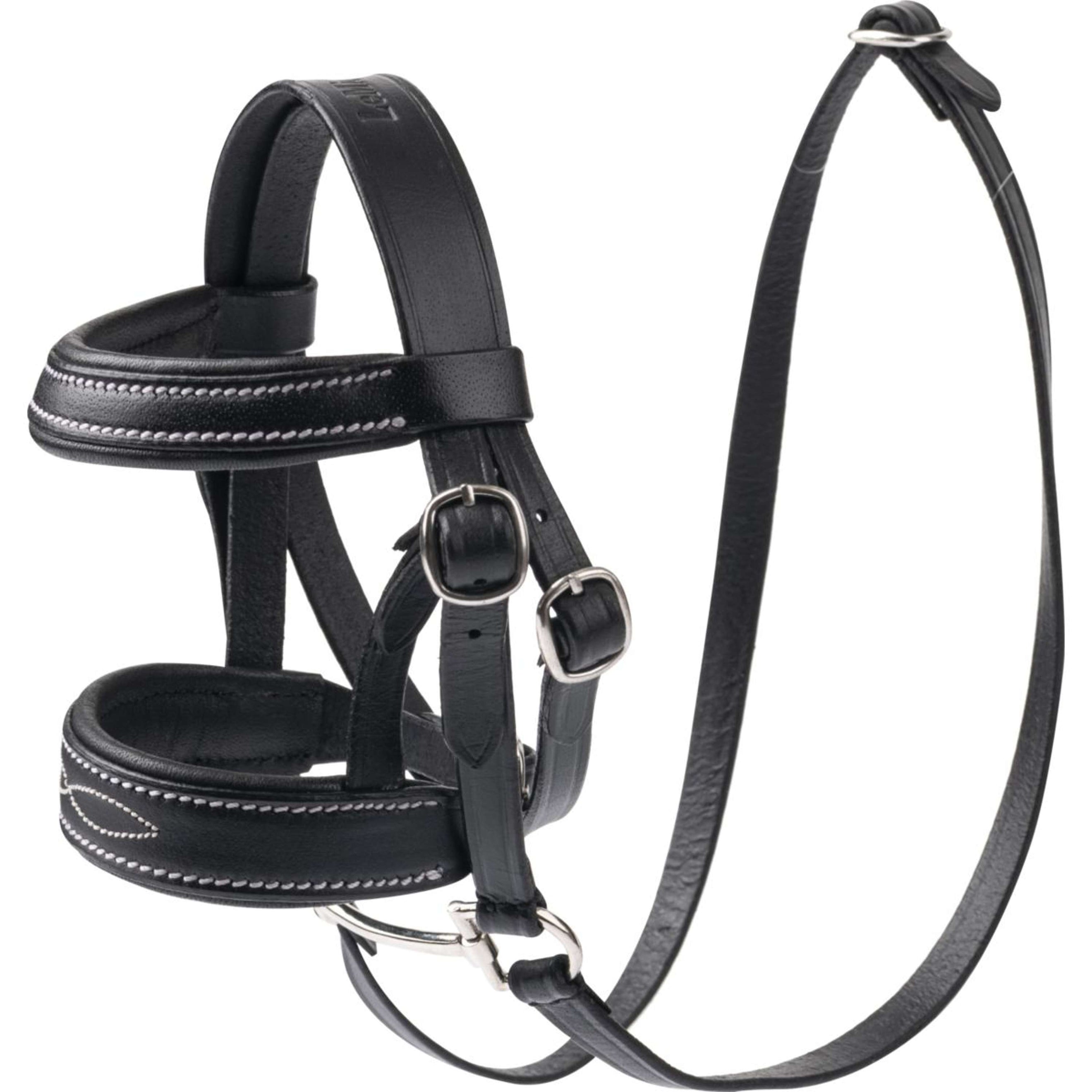 LeMieux Brida Mini Pony Negro LeMieux Brida Mini Pony Negro