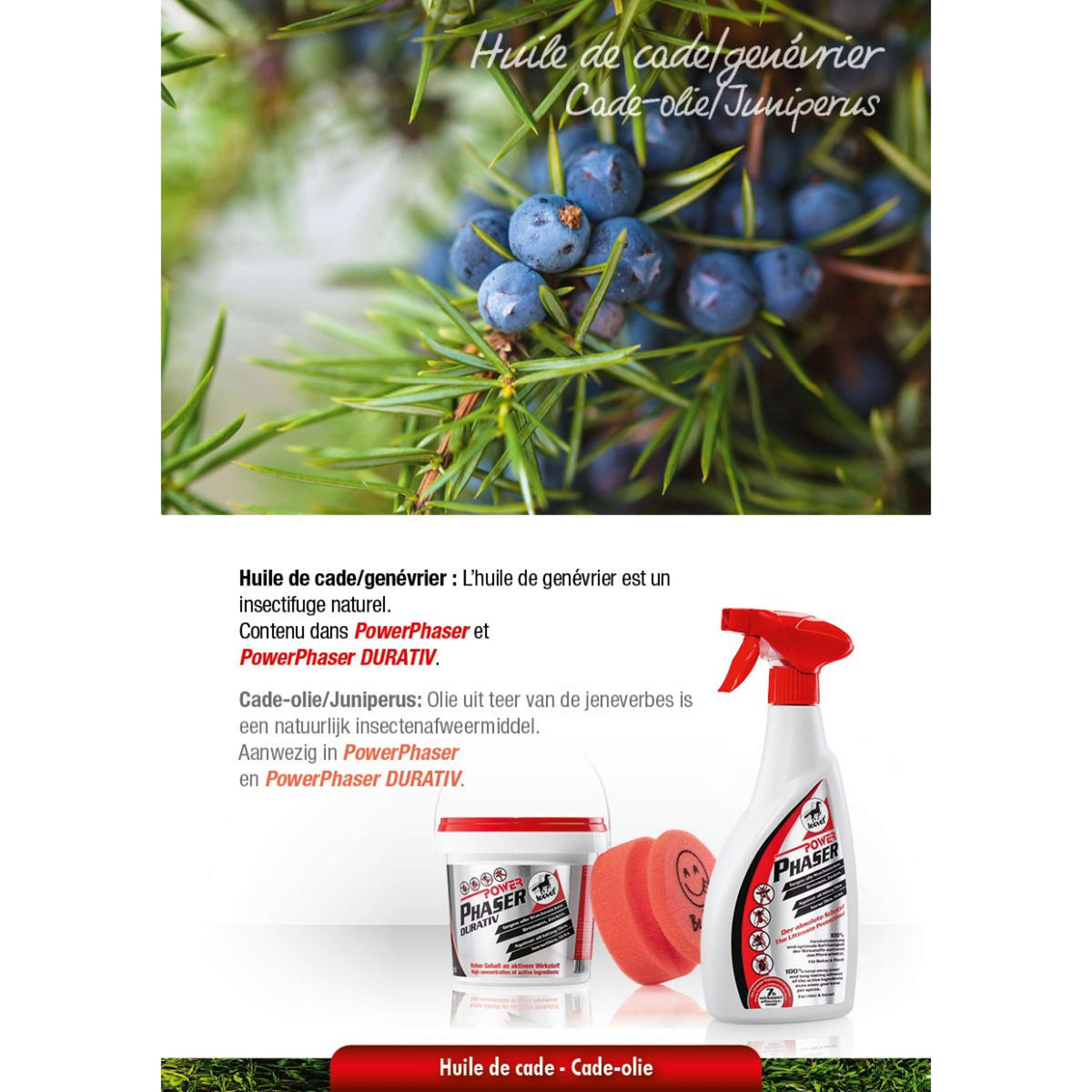 Leovet Faser de potencia