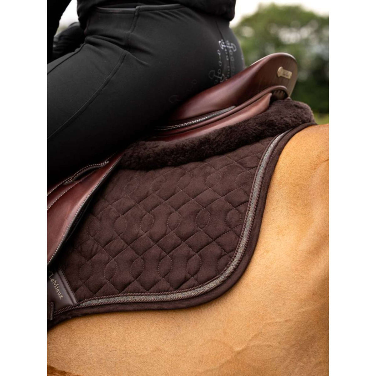 LeMieux Mantilla Crystal Suede Close Contact Marron