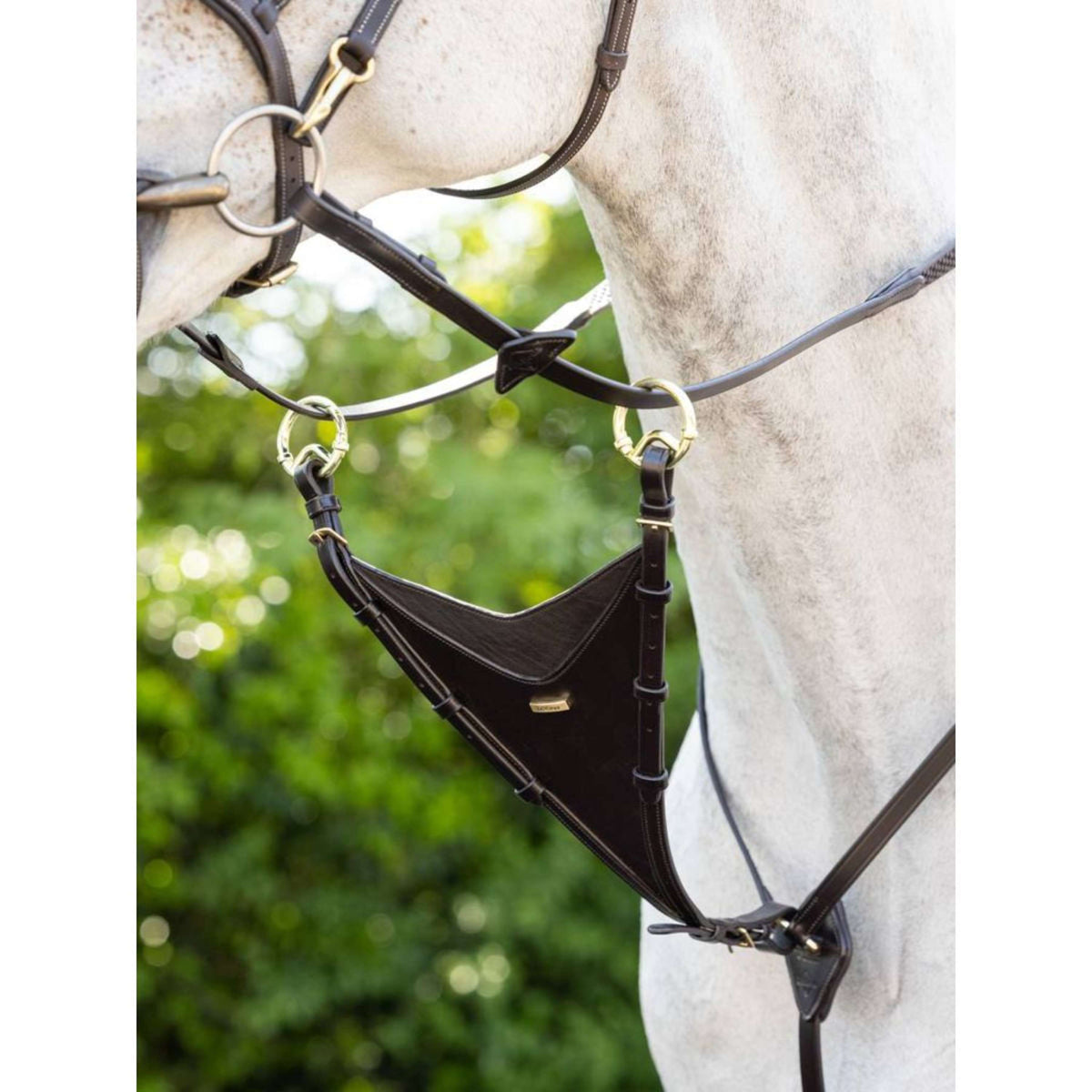 LeMieux Pechera Martingala Kudos Marron/Laton