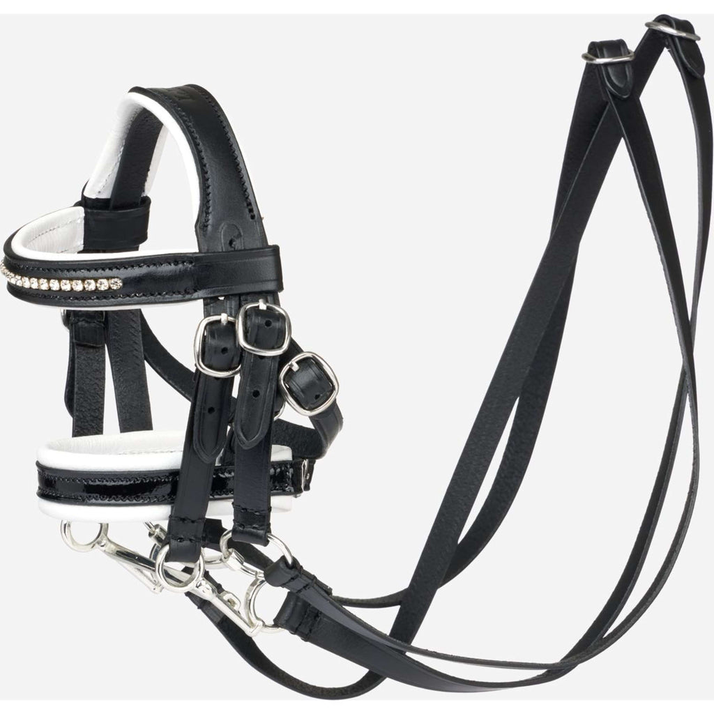 LeMieux Toy Pony Stang en Trenshoofdstel Negro