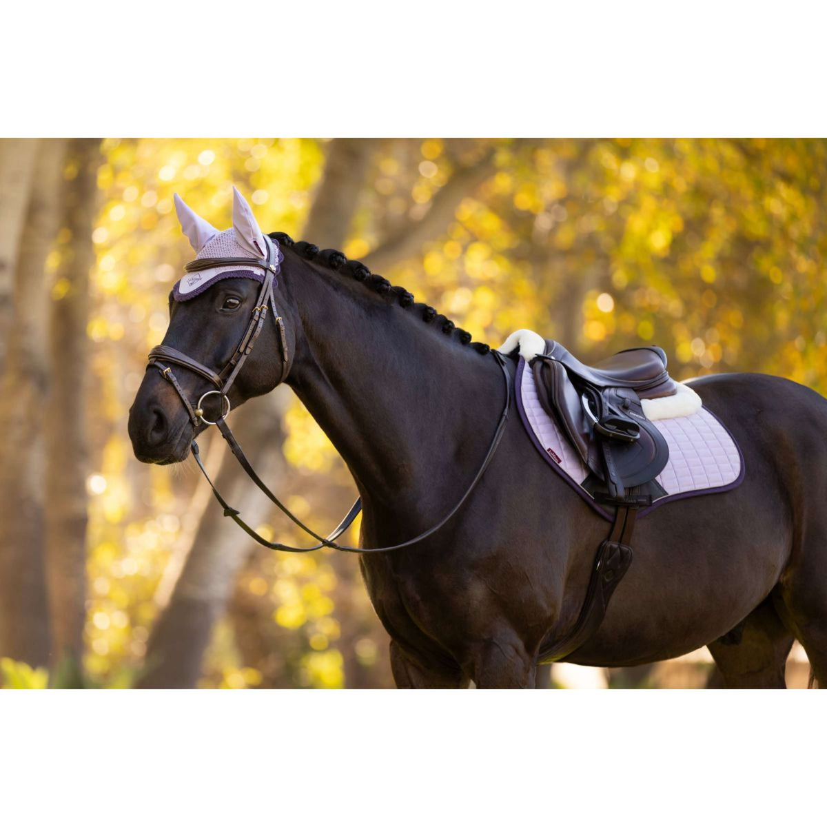 LeMieux Bonete para Orejas Classic Lilac
