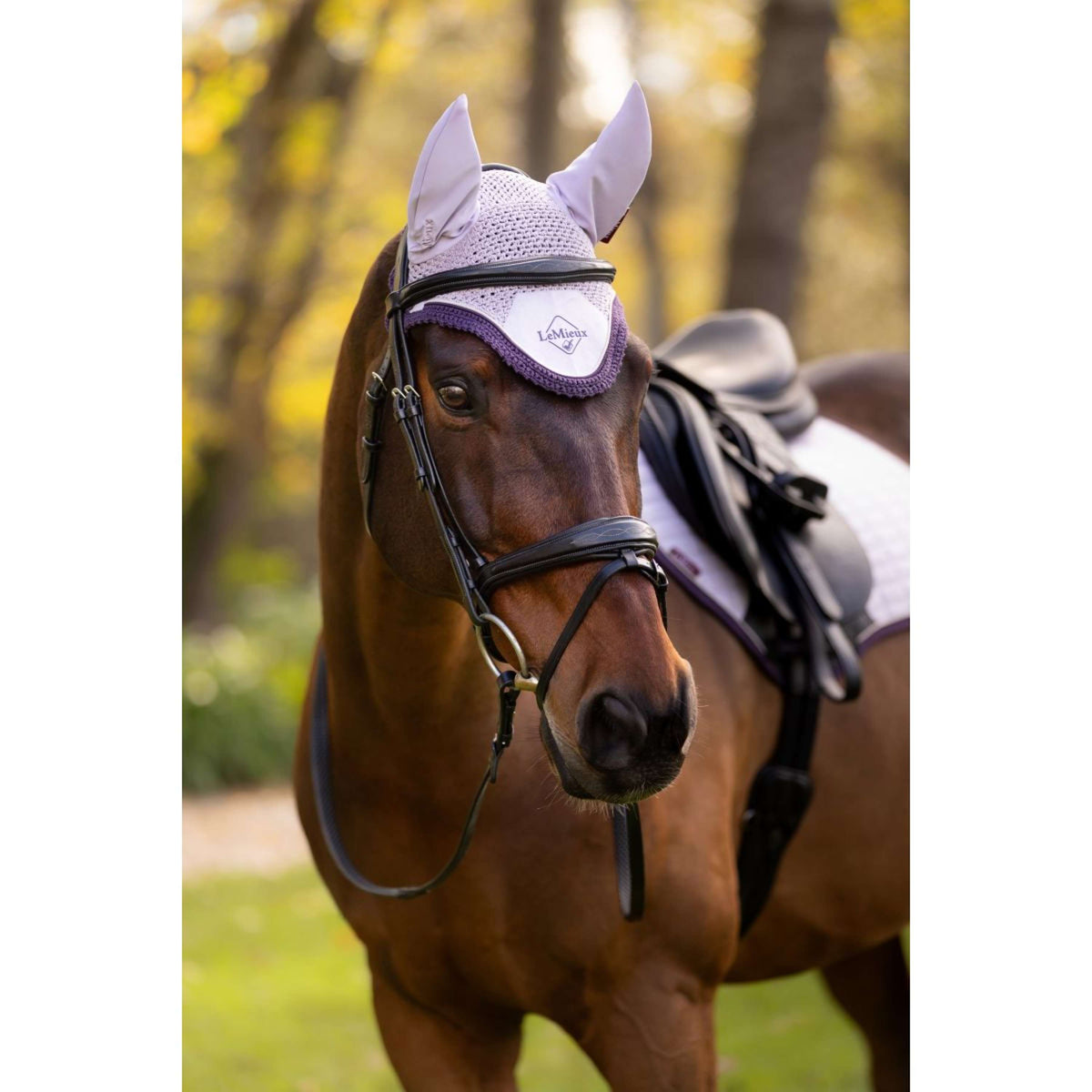 LeMieux Bonete para Orejas Classic Lilac