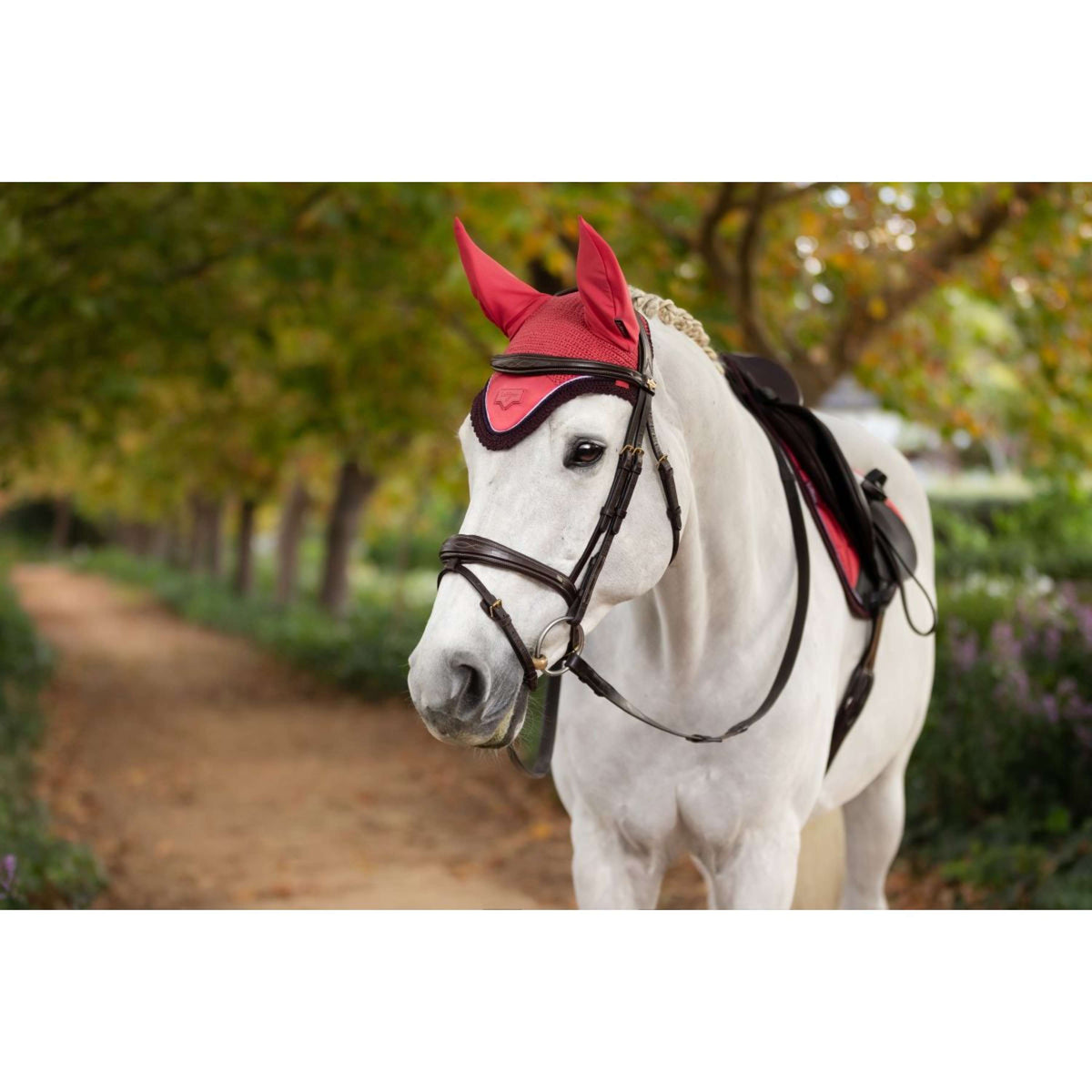 LeMieux Bonete para Orejas Loire Cranberry