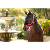 LeMieux Juego de Cabestro Vogue Cranberry